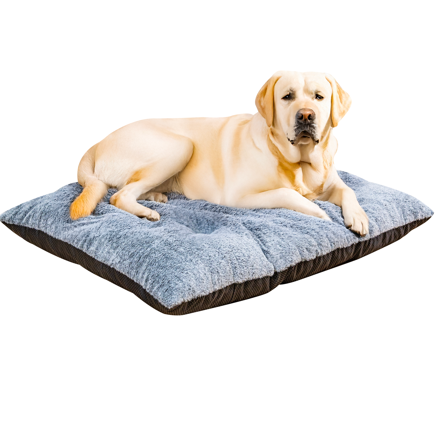 MIERES  Dog Bed,Washable Dog Mats with Anti-Slip Bottom for Large and Medium Dogs